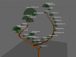 "Fan" layout for a tree with 839 leaves.