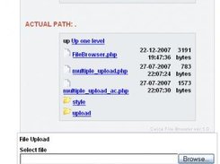 The File Managing Module