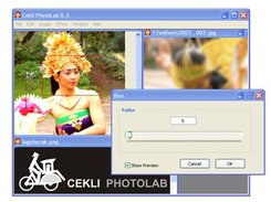 Cekli PhotoLab 0.3 User Interface