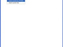 CEL Pad in Windows XP with Format menu item showing