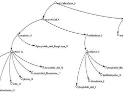 Example model containment structure (JUNG tree viewer).