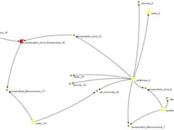 Example model biochemical pathways (JUNG network viewer).