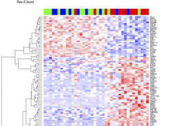 Palbociclib expression activity
