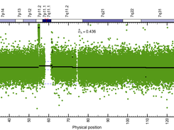 Copy Number Variation