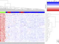 Expression heatmap