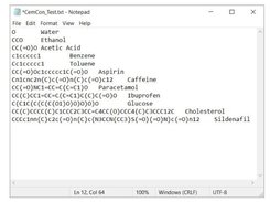  Input File Format 
