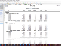 Tax Liability Report