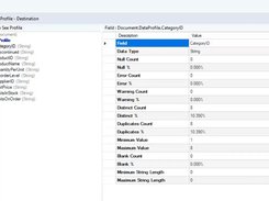 Data Profiling