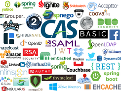Central Authentication Service (CAS) Screenshot 1