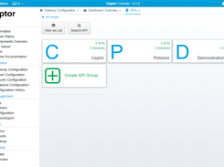 Ceptor API Management Screenshot 1