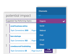 Ceralytics Channel Optimization