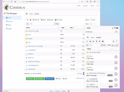 Cerberus FTP Server Screenshot 1