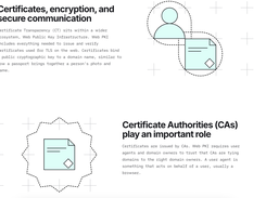 Certificate Transparency Go Screenshot 2