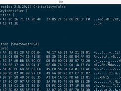 Certificate Ripper Screenshot 1