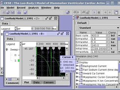 CESE after 2 simulations