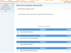 CETPE TOOL: Peer review for Moodle Screenshot 4