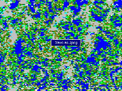 Swamp