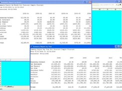 Examples of summary reports by month and year