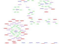 Interfaces Vlans VRFs