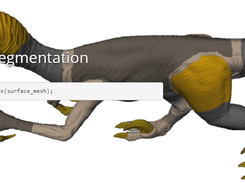 Mesh Segmentation