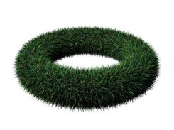 Placing grass on a torus (rendered with Aqsis)