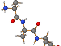 Alanine tripeptide
