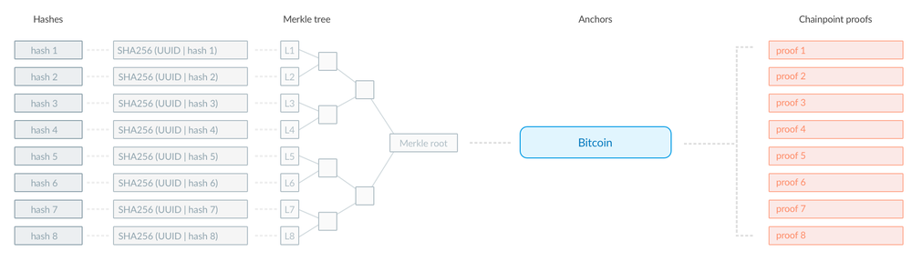 Chainpoint Screenshot 1