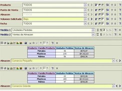 Viewer Page - Multiprojection view