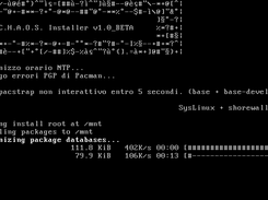 Installer (pacstrap)