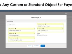 Map any standard or custom object to get payment functionality