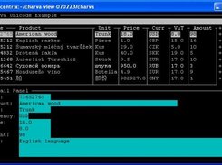 Charva running on PuTTY, showing UTF-8 support