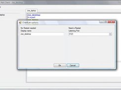 The .Net client under Windows Vista (options panel)
