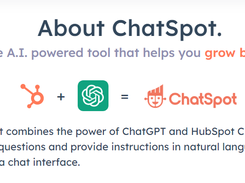 ChatSpot Screenshot 1