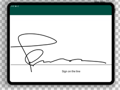 Digital signature capture