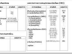 Generate Printout for Paper Record