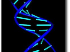 Nucleic Acid Item