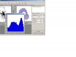 Chemotaxis and Migration Tool Screenshot 1