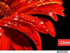 Cordoba Version with light aliz theme and selected background