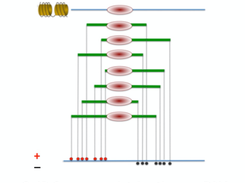 ChIP-Seq Screenshot 1