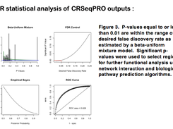 R statistical analysis of CRSeqPRO outputs