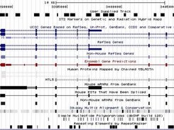 HaeIII fragments of mouse chr19, bed file viewed on UCSC