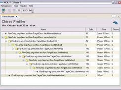 The chires profiler display in MC4J