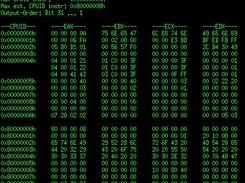 cpuid instruction dump (hex)