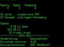 output on a machine with 2 physical cpus