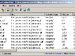 ChromeCacheView Screenshot 1
