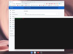 Linux BETA enabled
