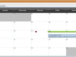 Month view mode