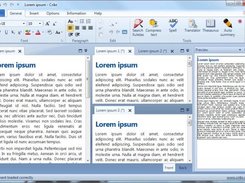 Multiple document editor