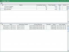 CiClops monitoring CILib simulations on a test cluster