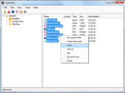 Choose files to lock